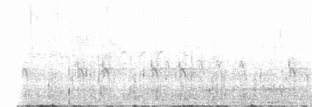 "Шишкар ялиновий (Western Hemlock, або тип 3)" - ML610023259