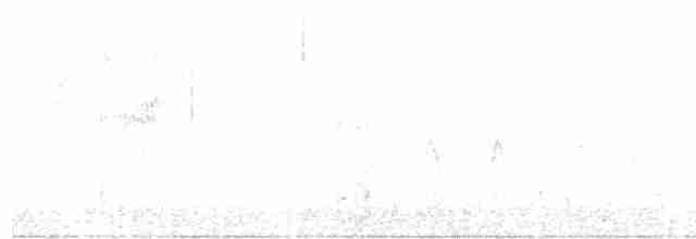 Red Crossbill (Western Hemlock or type 3) - ML610023260