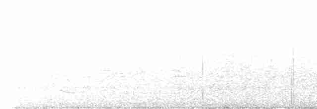 Тимелія-криводзьоб рудощока - ML610026173