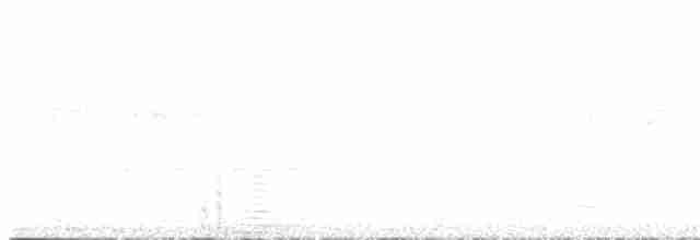 Black-tailed Trogon - ML610034619