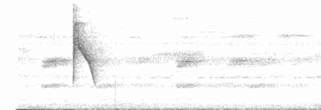 Braunscheitel-Ameisenvogel - ML610035017