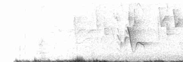Weißstirnvireo (notius/montanus) - ML610035519