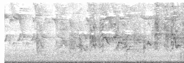 Orange-chinned Parakeet - ML610044642