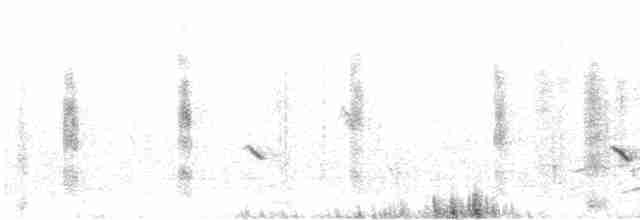 Eastern Black-eared Wheatear - ML610057237