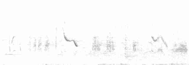 Crested Lark (Crested) - ML610057560