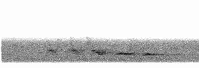 Зозуля-довгохвіст гірська - ML610057594