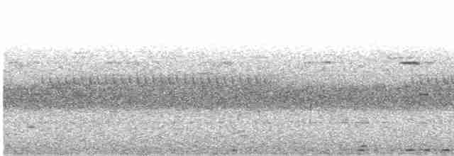 Пугач гвінейський (підвид vosseleri) - ML610058775