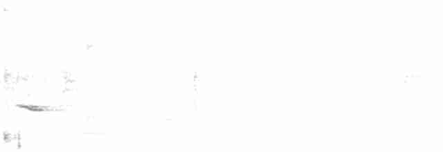 אדמון מובהק (אירואסייתי) - ML610061517