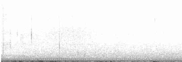 Морщинистоклювая ани - ML610064575