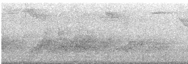 holub černošíjný - ML610065363