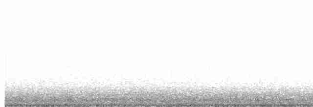 Eurasian Oystercatcher - ML610066608