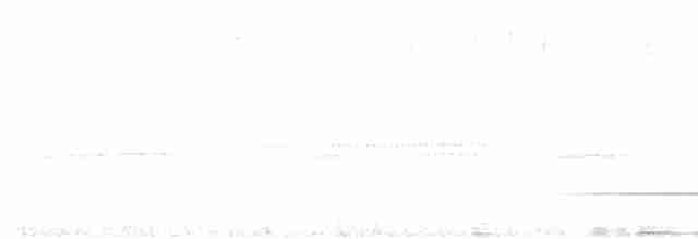 Kestane Göğüslü Çıtkuşu - ML610079161
