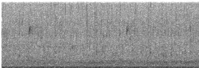 Porsuk Serçesi (leucophrys) - ML610085113