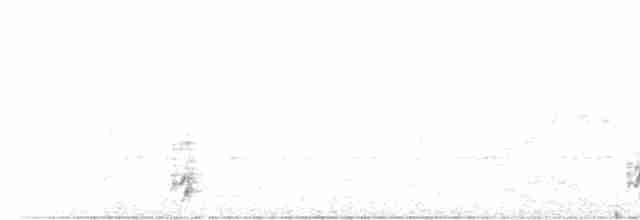 Белоухий крапивник - ML610091982