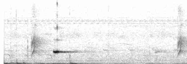 Small-billed Tinamou - ML610095593