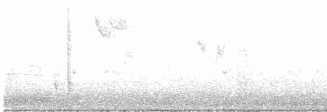Дрізд-короткодзьоб плямистоволий - ML610107879