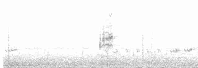 Loggerhead Shrike - ML610110018