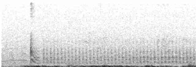 白腰叉尾海燕 - ML610111332