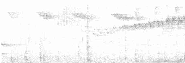 Three-striped Warbler (daedalus) - ML610123287