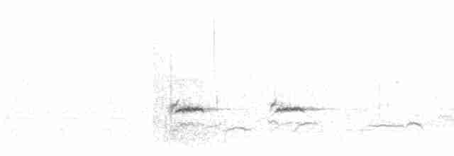 Zozo paparzuria (alpestris) - ML610132345