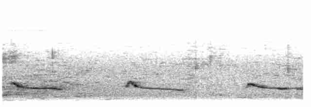 Дроздовая пальмара - ML610133533