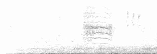 drozdec černohlavý - ML610135511