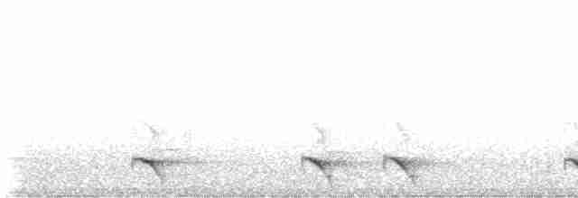 Plush-crested Jay - ML610136832