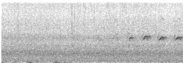 Strichelstirn-Bündelnister - ML610136911