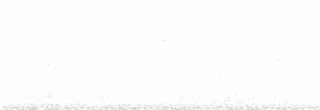 Band-tailed Sierra Finch - ML610137009