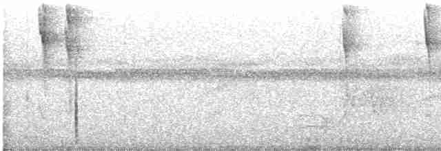 Turuncu Başlı Tangara - ML610138967