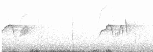 Светлобрюхий фиби - ML610145275