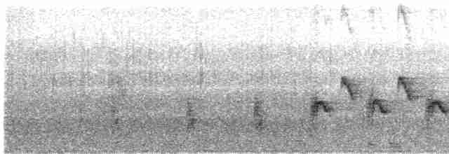 Australian Reed Warbler - ML610155595