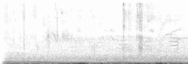stripesisik - ML610156164