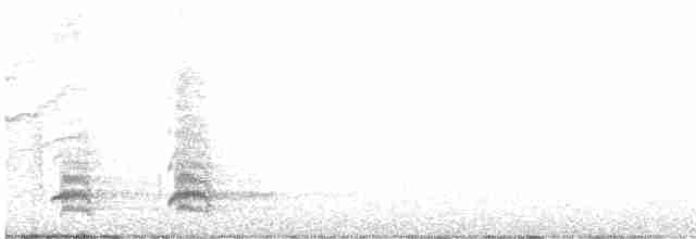 gråskrike (capitalis/bicolor) - ML610158490