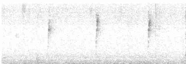 斑胸秧雞 - ML610158520