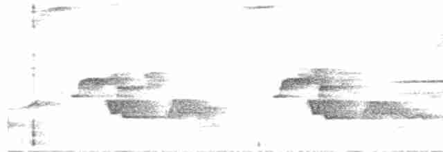 Серогрудый крапивник (leucophrys/boliviana) - ML610158947