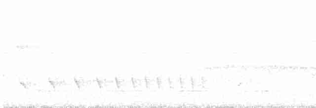Weißkehl-Ameisenschlüpfer - ML610180406