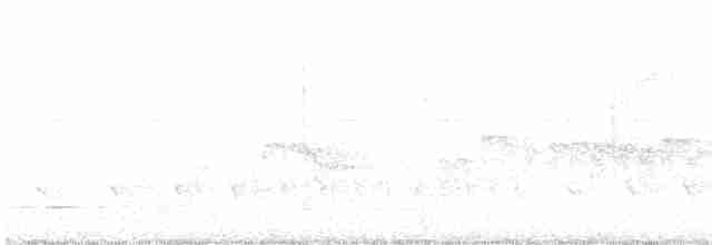 Pygmy Antwren - ML610180411