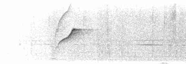 Batı Amerika Sinekkapanı (occidentalis/hellmayri) - ML610191951