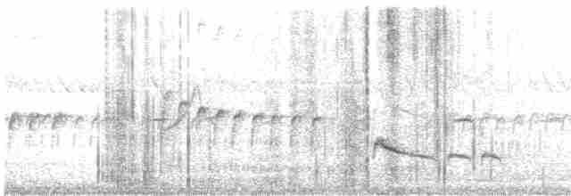 Кратеропа довгохвоста - ML610194205
