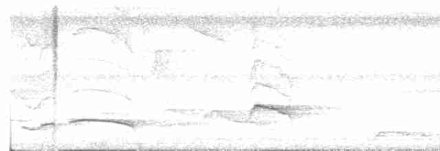 Краснохвостый шелкопёр - ML610198219