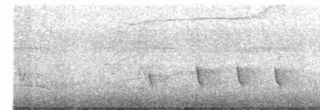 Bant Kuyruklu Çömlekçikuşu - ML610200765