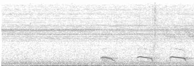 Trogon à queue blanche - ML610217169