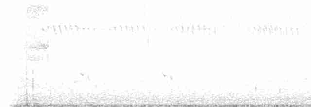 Rußkrähenstar (arguta) - ML610229364