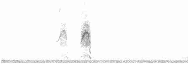 puštík vousatý (ssp. lapponica) - ML610229670