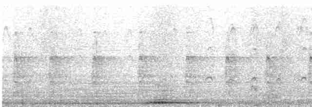 puštík vousatý (ssp. lapponica) - ML610229680