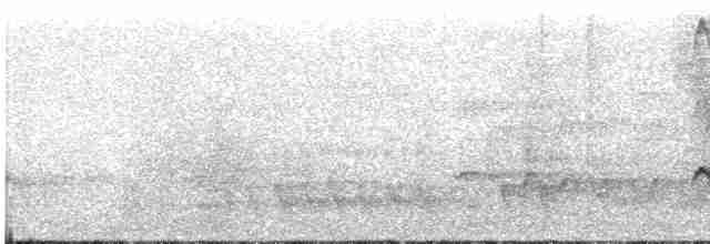 Fan-tailed Cuckoo - ML610231476