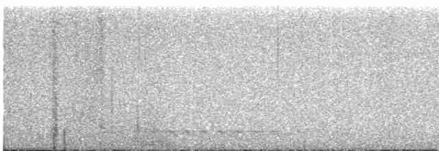 White-throated Nightjar - ML610231502