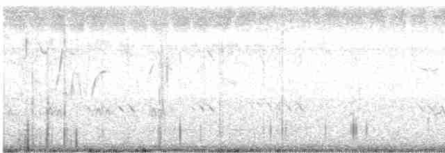 Dendrocygne siffleur - ML610234957