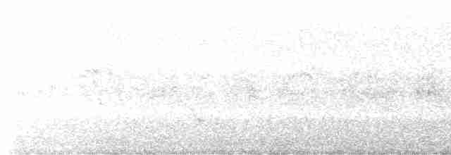 White-cheeked Honeyeater - ML610235012